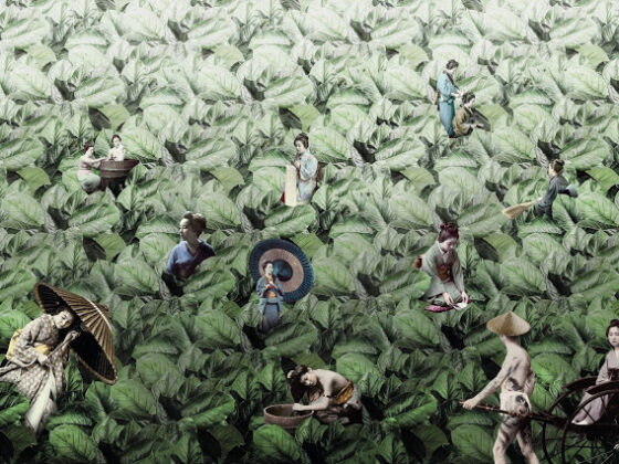 Masami – Wallpaper