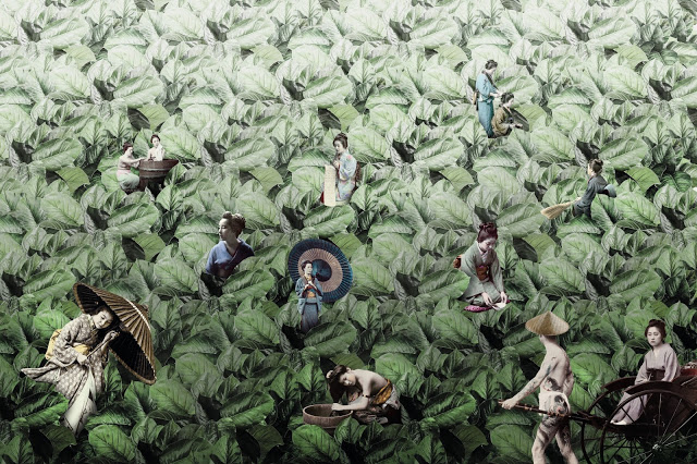 Masami – Wallpaper