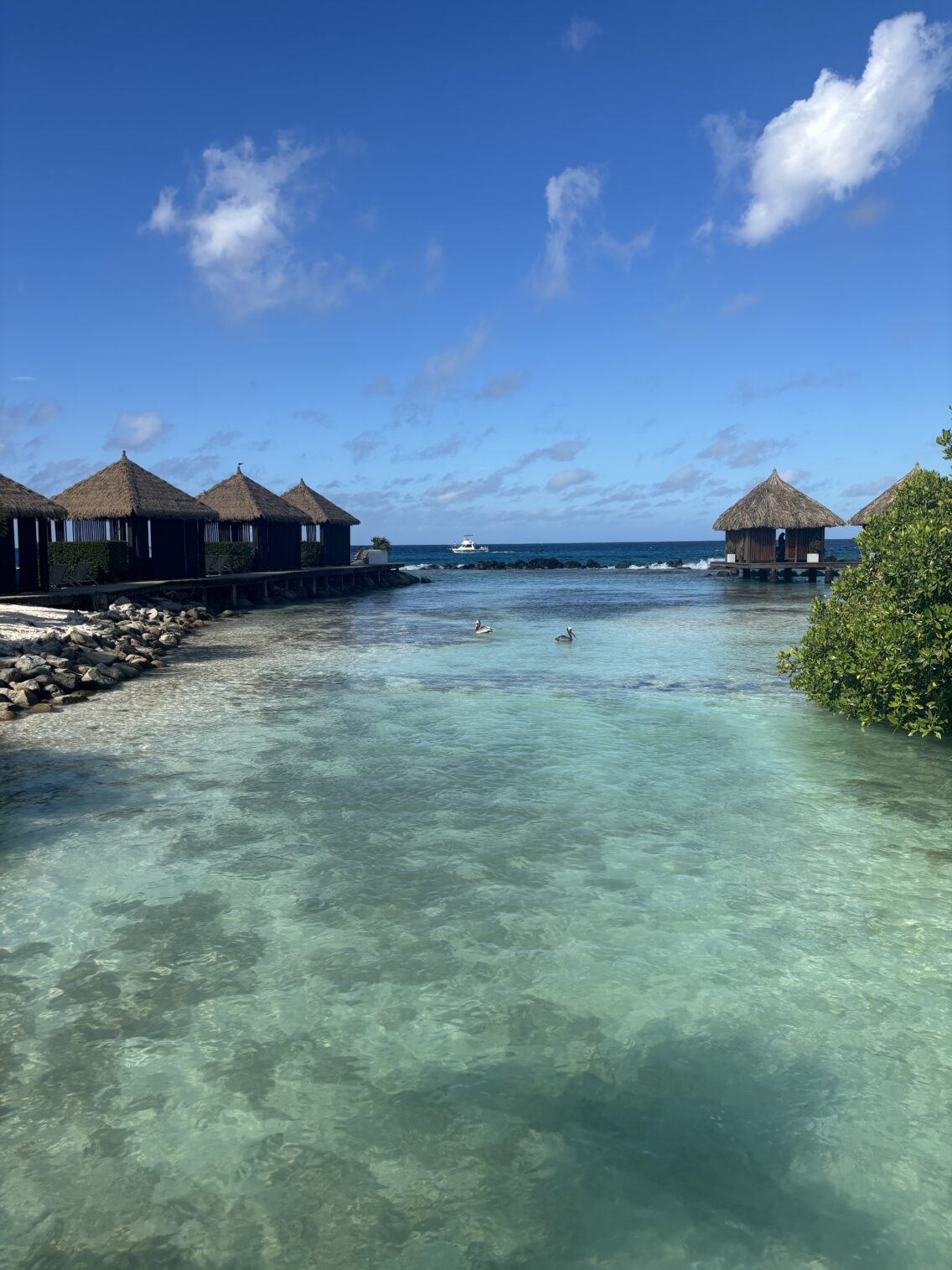 Aruba: l’isola felice dei Caraibi