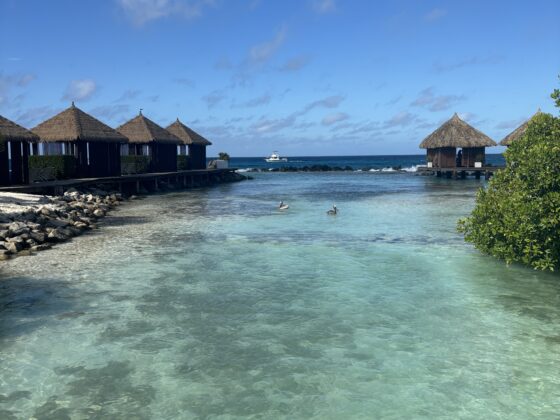 Aruba: l’isola felice dei Caraibi